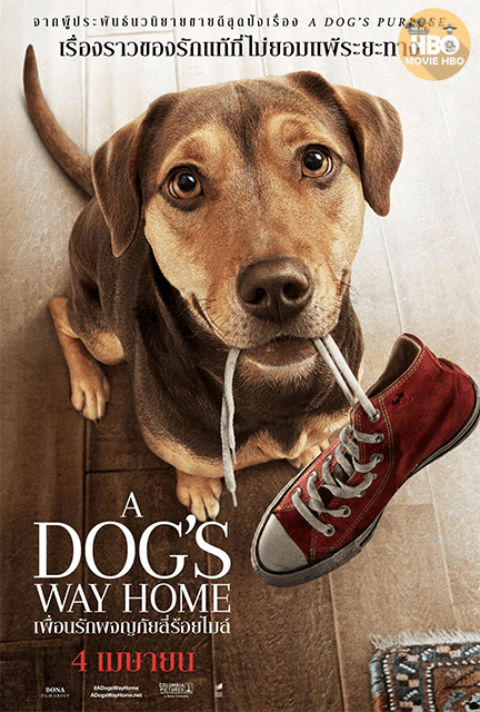 ดูหนังออนไลน์ A Dog s Way Home (2019) เพื่อนรักผจญภัยสี่ร้อยไมล์